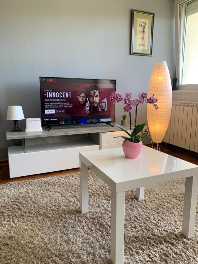 Sunkissed Apartment Belgrad Dış mekan fotoğraf
