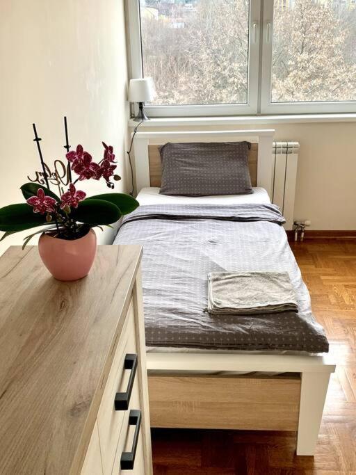 Sunkissed Apartment Belgrad Dış mekan fotoğraf